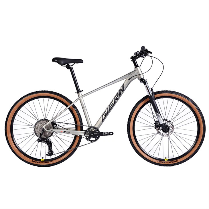 orange hardtail bikes (3)
