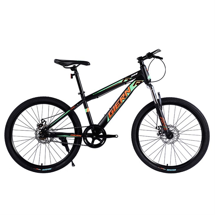 Single Speed Dh Bike