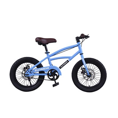 Bicycle For Age 10