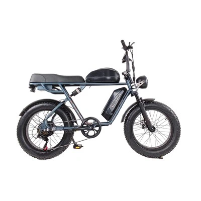 Cross Country E Mountain Bike
