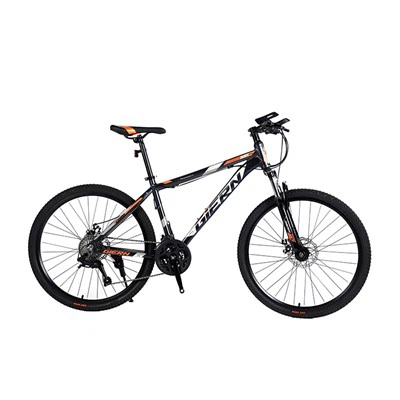 Hardtail Commuter Bike