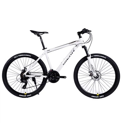 Hardtail Hybrid Bike