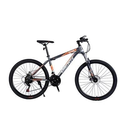 Lightweight Steel Hardtail