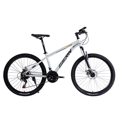 Steel Frame Hardtail Mtb