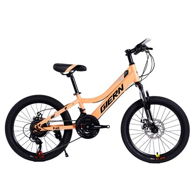 Steel Hardtail Frame 20 MTB