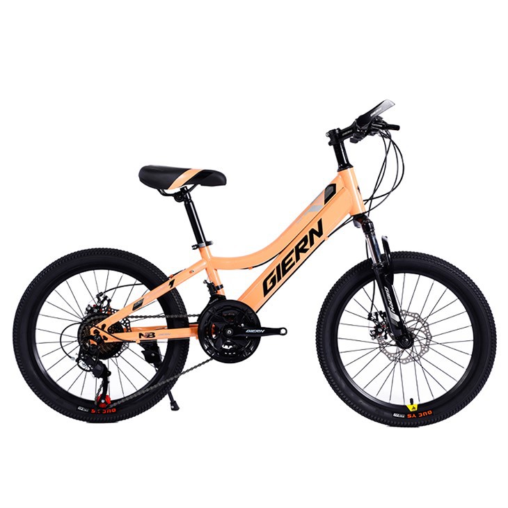Steel Hardtail Frame 20 MTB
