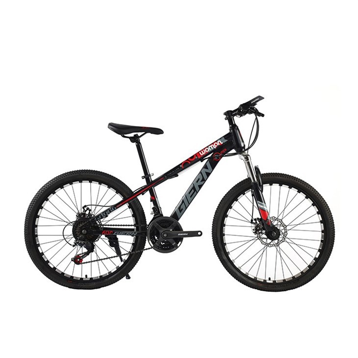 Women Push Bikes For Sale