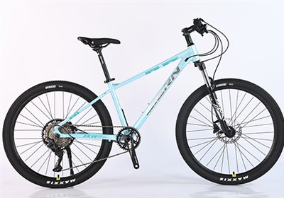 How To Tell A Good Quality Mountain Bike?