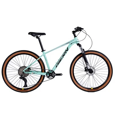 Mtb Hardtail Trail