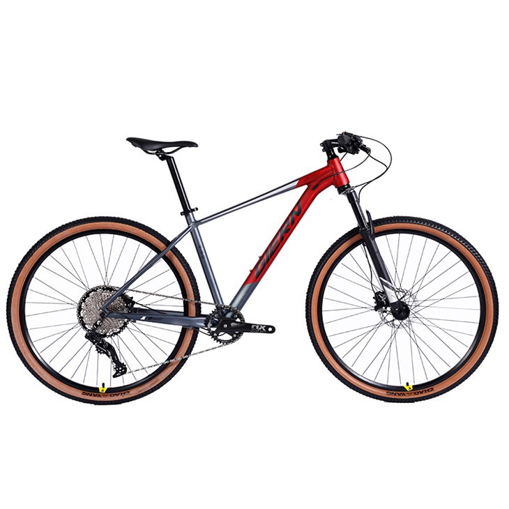 Xc Bike Hardtail