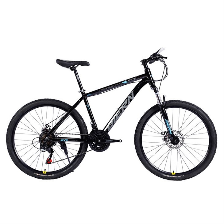 Hardtail Gravel Bike