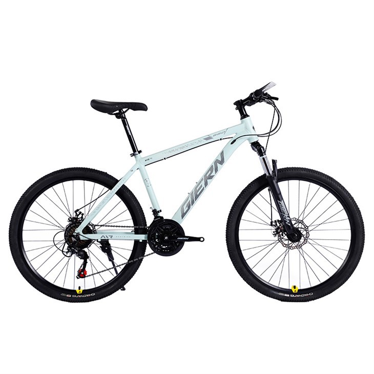 Hardtail Gravel Bike