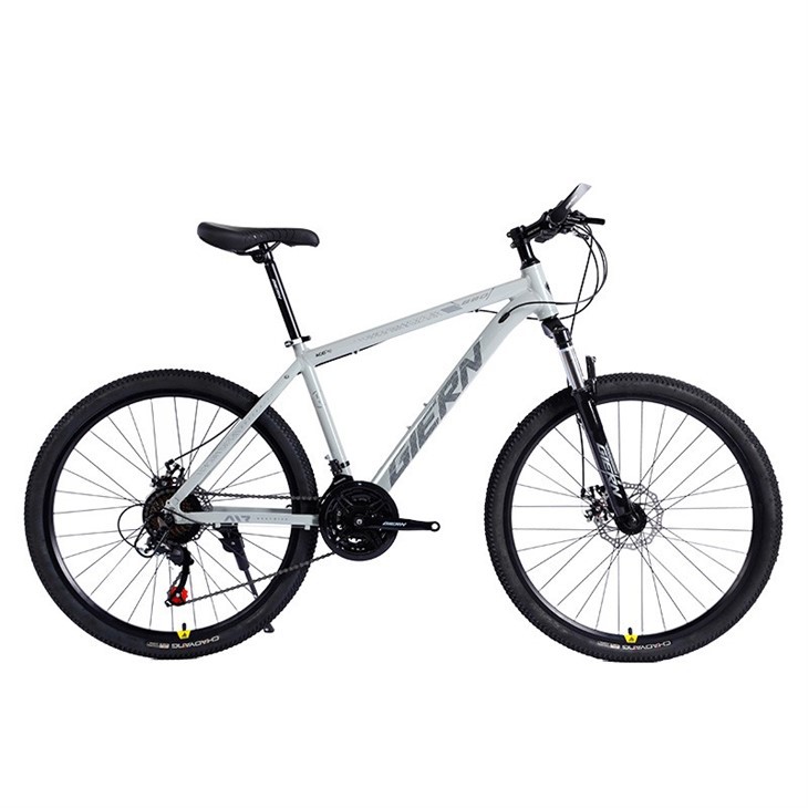 Hardtail Gravel Bike