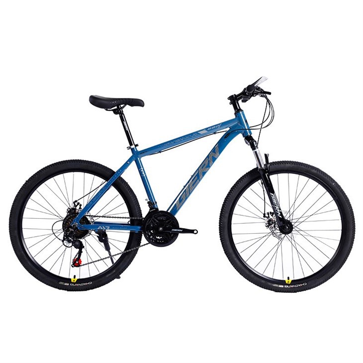 Hardtail Gravel Bike