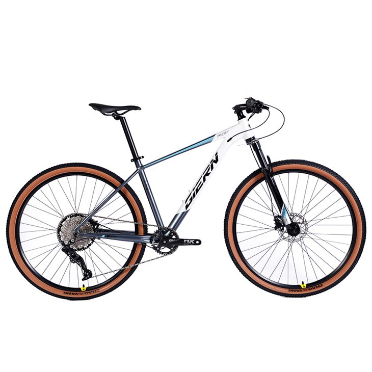 Hardtail Mtb Enduro