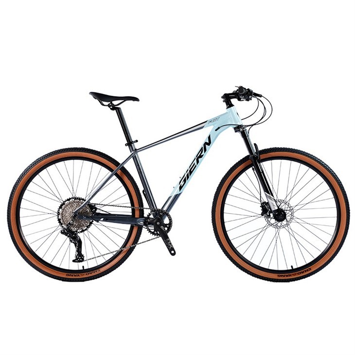 Hardtail Mtb Enduro