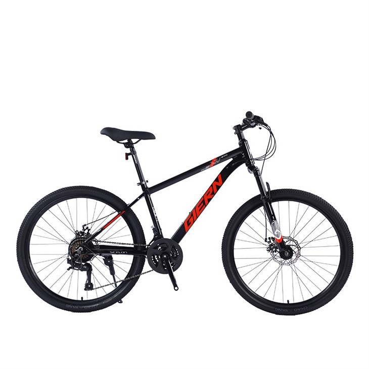 Mountain Bike Aluminum Alloy Frame