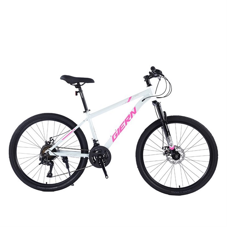 Mountain Bike Aluminum Alloy Frame