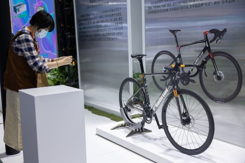 Mountain bike display