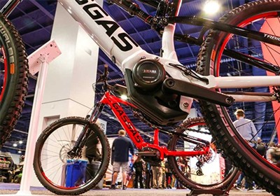 Pierer Mobility AG Strategic Adjustment: Exiting The Electric Bicycle Busines...