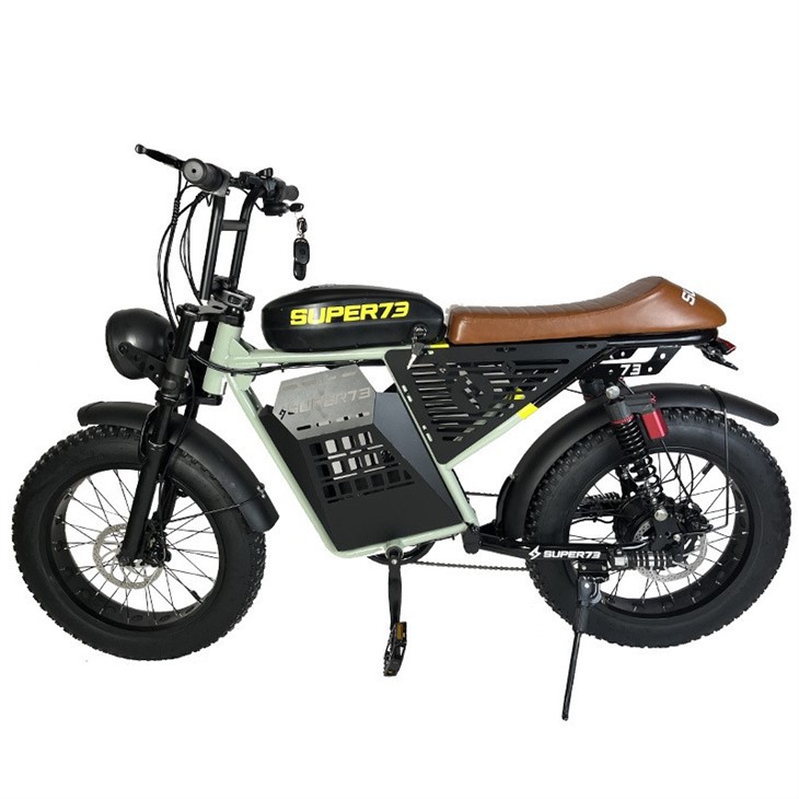 Off Road Electric Mountain Bike suppliers