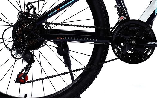Derailleur system