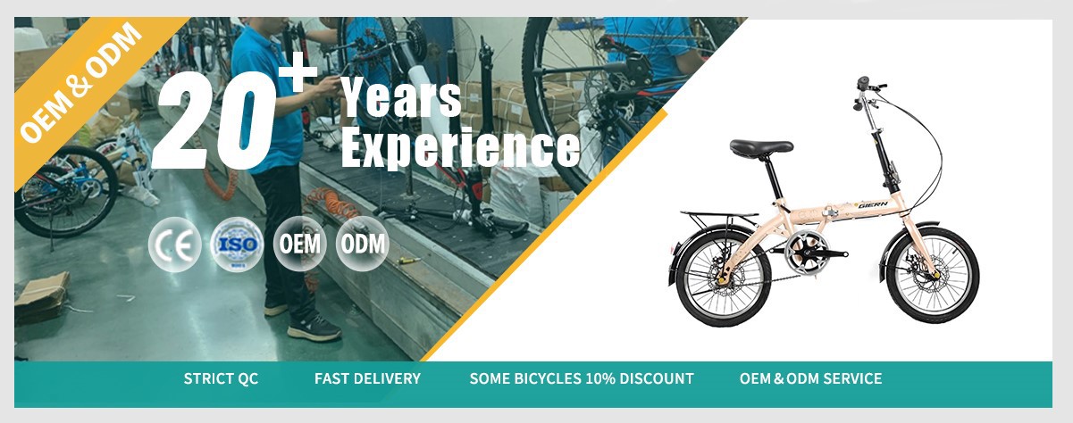 folding bike 20 inch