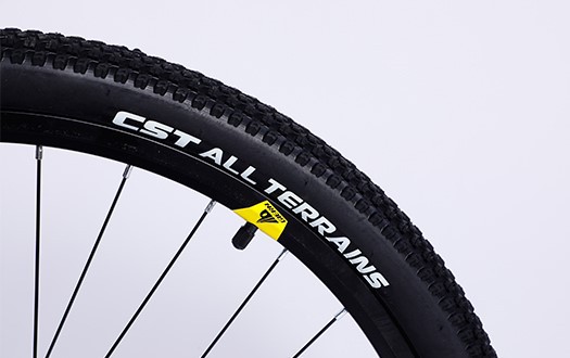 CST tire