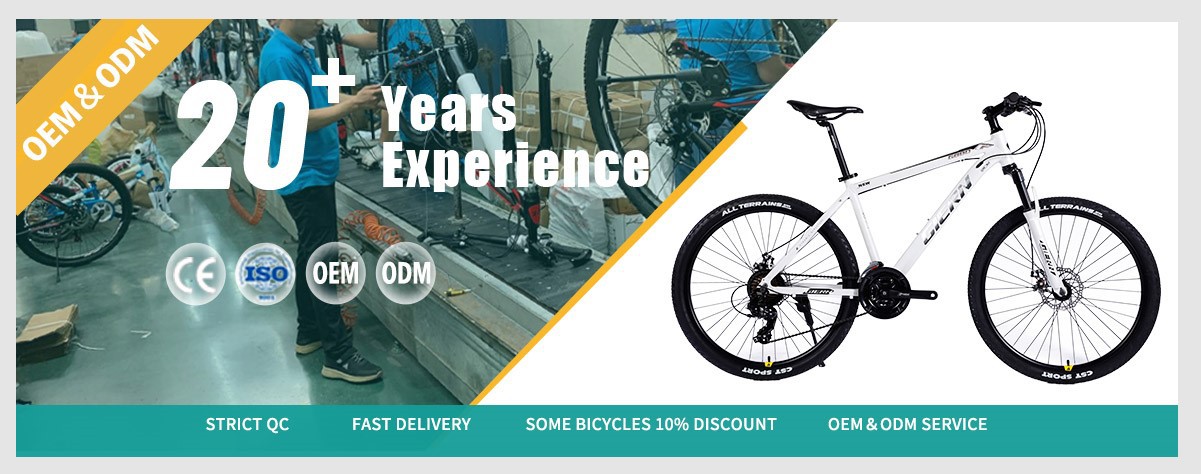 white mountian bike for adults