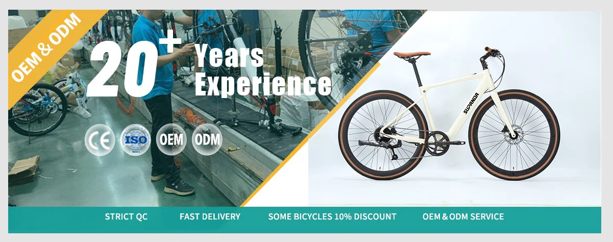 disc brake electric road bike manufacture