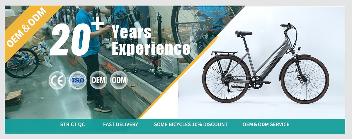 electric City bike manufacture