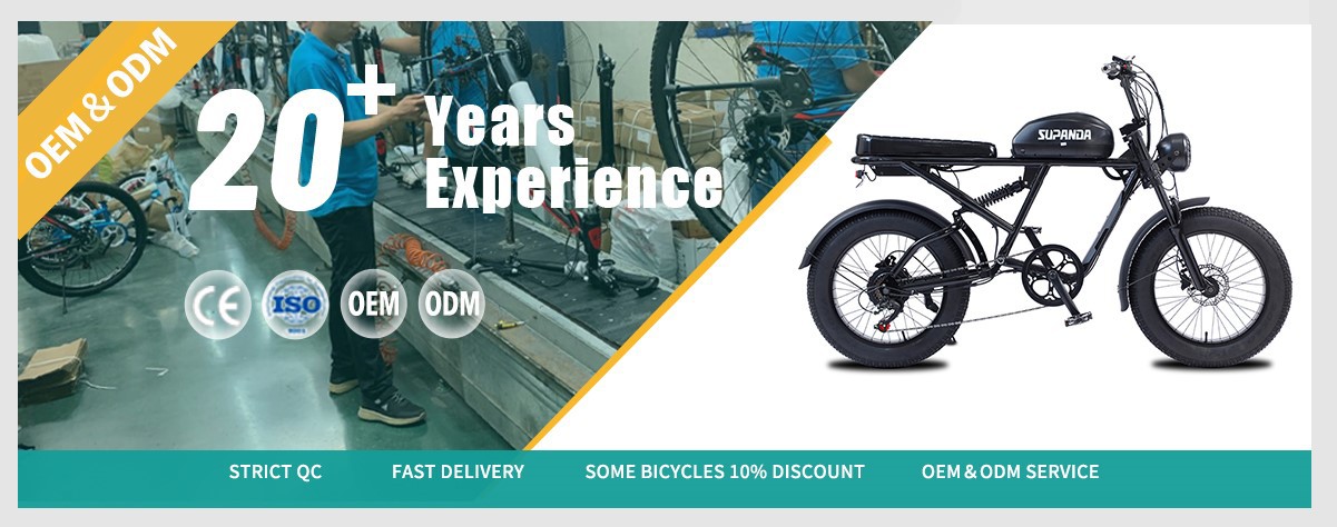 full suspension Mountain bike ebike