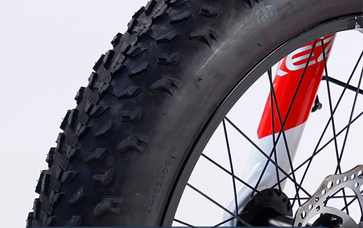 tire with disc brake