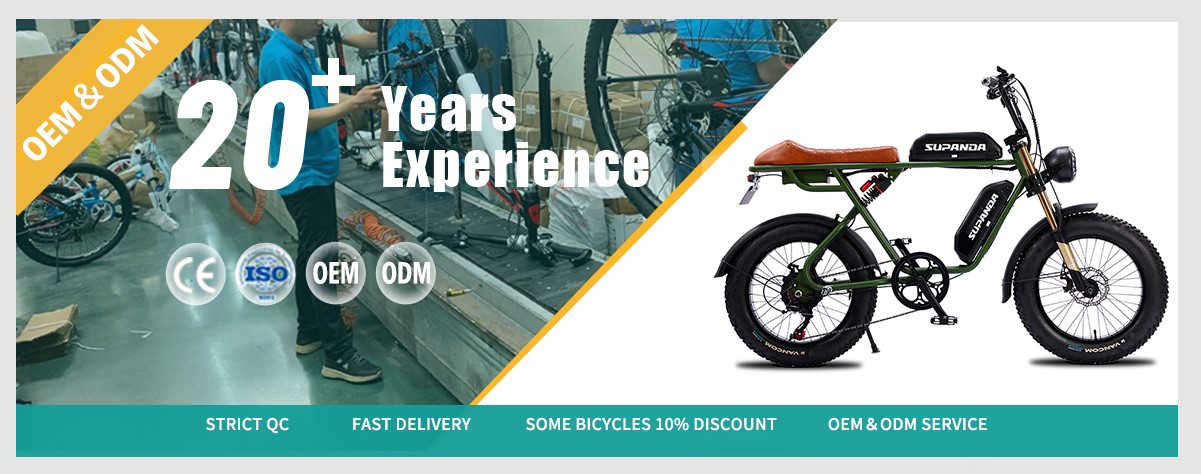 double battery electric mountain bike
