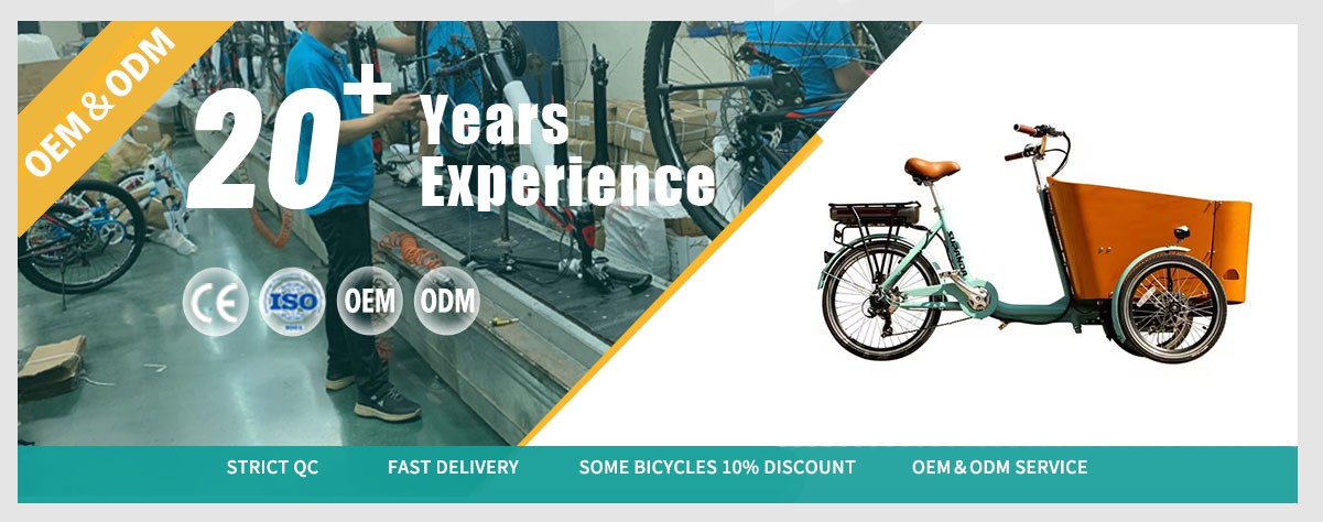cargo bike cargo bike