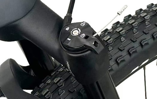 Lockable front fork