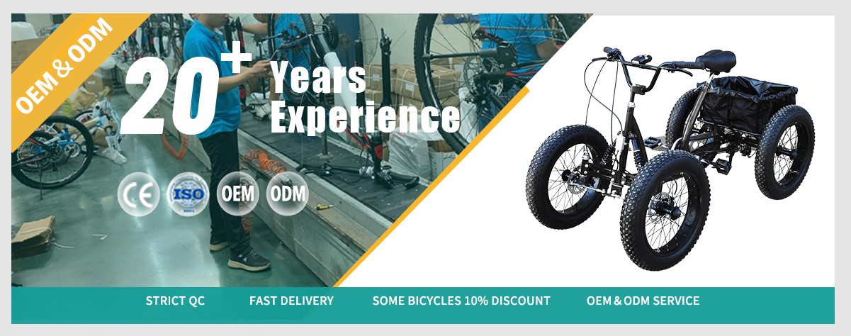 Factory wholesale 20 inch 4 wheels cargo bike Factory wholesale 20 inch 4 wheels cargo bike