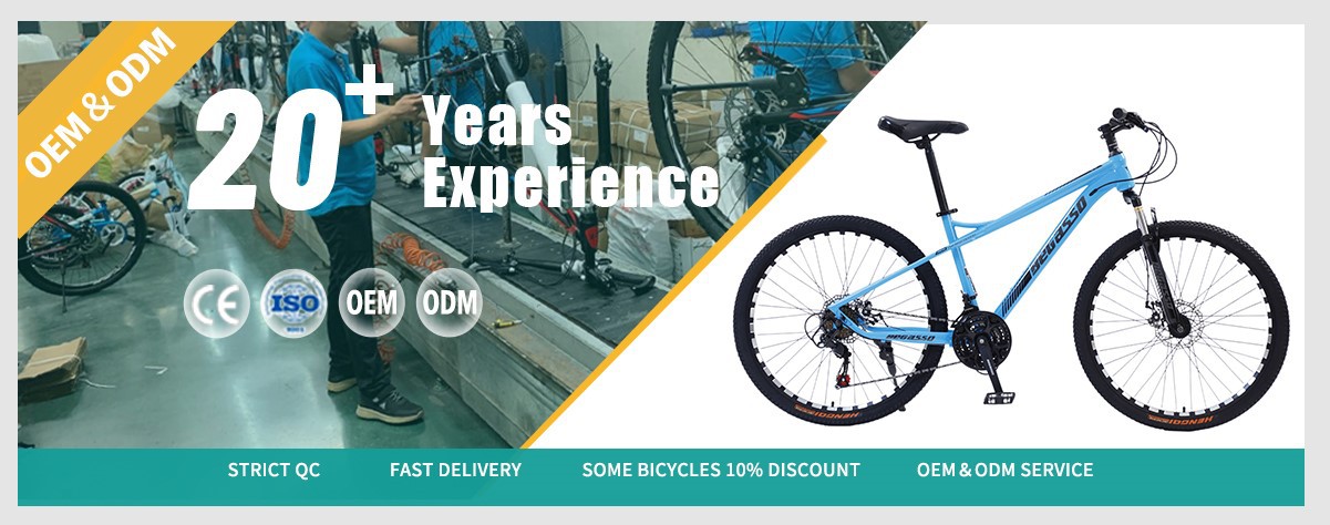 cutter rim hardtail mountain bike