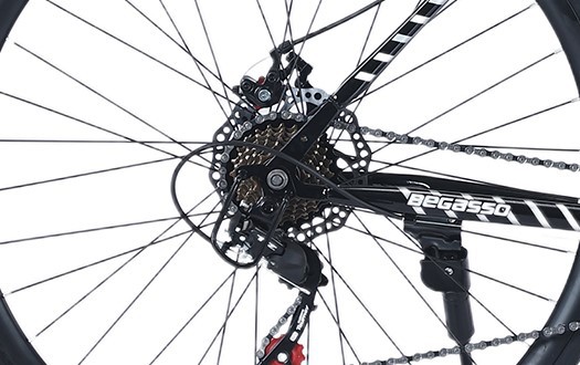 Freewheel