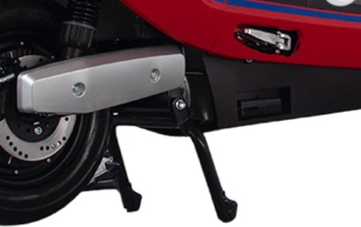 double kickstand