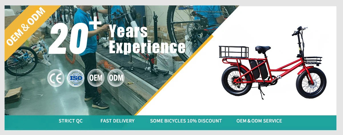 cargo ebike