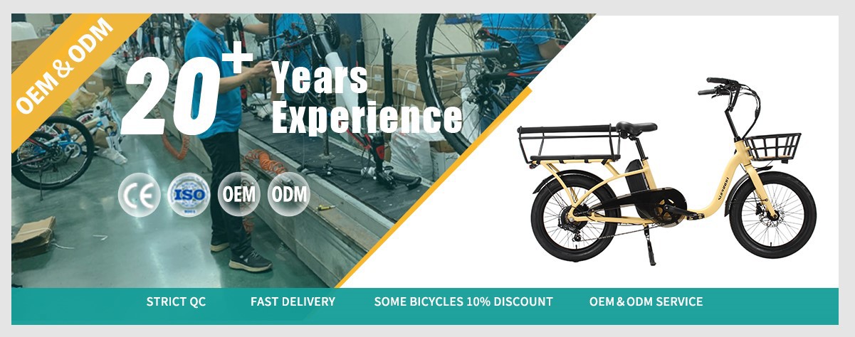 Cargo ebike Factory