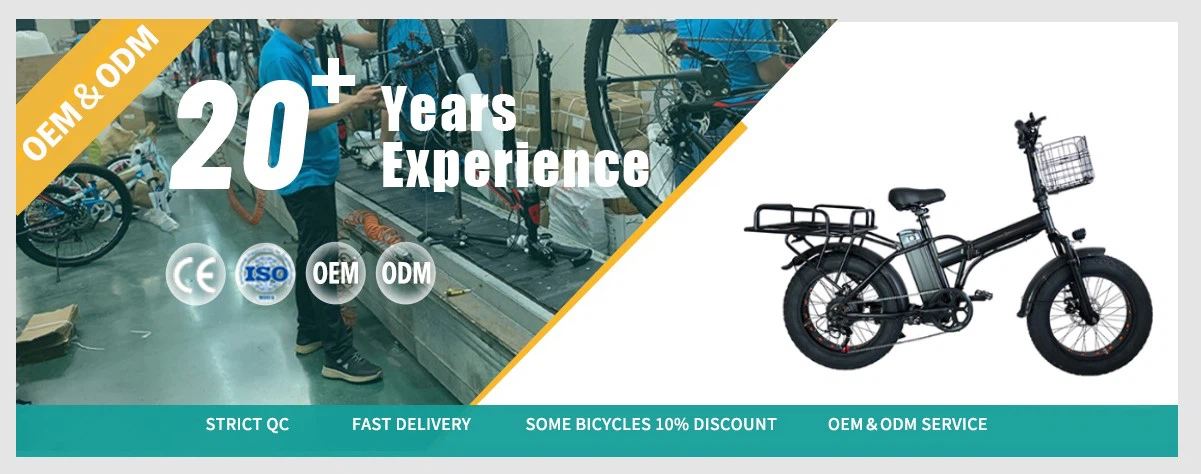 Electric cargo Ebike Factory