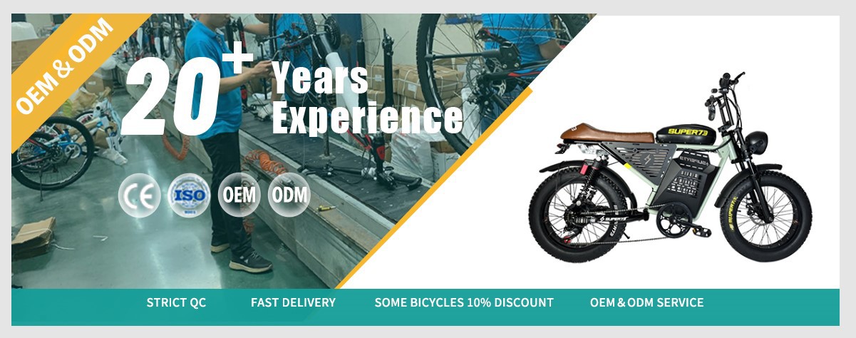 off-road Electric mountain bike