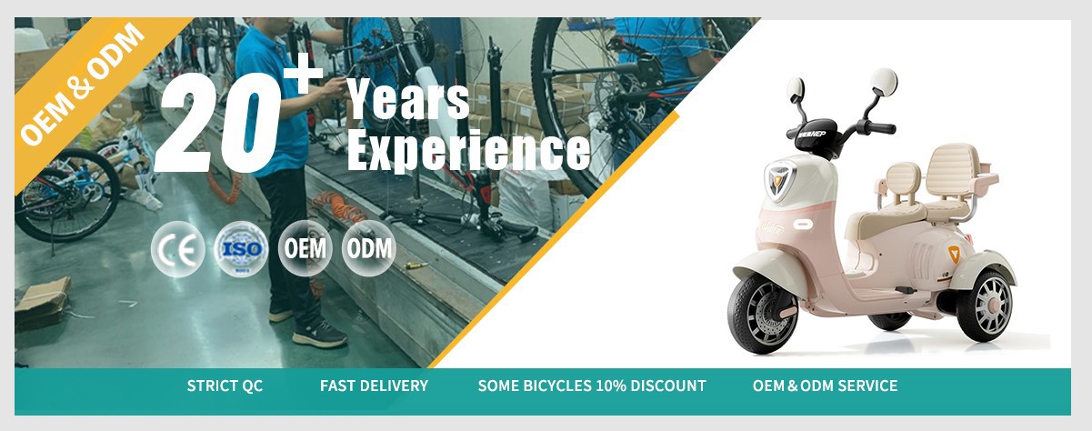 children electric Bike wholesale Factory